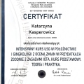 Powiększ obraz: certificate 3