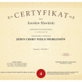 Powiększ obraz: certificate 8