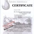 Powiększ obraz: certificate 1