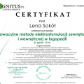 Powiększ obraz: certificate 4