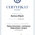 Powiększ obraz: certificate 11