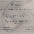 Powiększ obraz: certificate 3