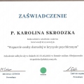 Powiększ obraz: certificate 8