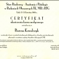 Powiększ obraz: certificate 11