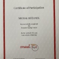 Powiększ obraz: certificate 14