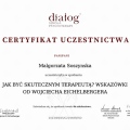 Powiększ obraz: certificate 8
