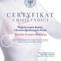 Powiększ obraz: certificate 41