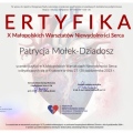 Powiększ obraz: certificate 11