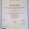Powiększ obraz: certificate 3