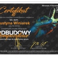 Powiększ obraz: certificate 4