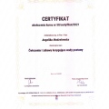 Powiększ obraz: certificate 1