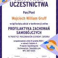Powiększ obraz: certificate 22