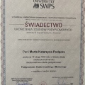 Powiększ obraz: certificate 3