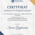 Powiększ obraz: certificate 19