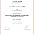 Powiększ obraz: certificate 4