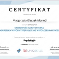 Powiększ obraz: certificate 8