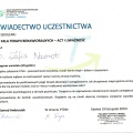 Powiększ obraz: certificate 5