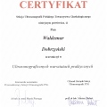 Powiększ obraz: certificate 9
