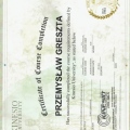 Powiększ obraz: certificate 4
