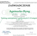 Powiększ obraz: certificate 2