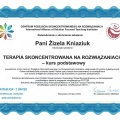 Powiększ obraz: certificate 2