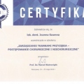 Powiększ obraz: certificate 3