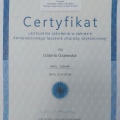 Powiększ obraz: certificate 1