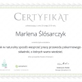 Powiększ obraz: certificate 17