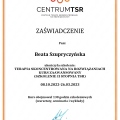 Powiększ obraz: certificate 2