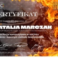 Powiększ obraz: certificate 1