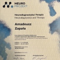 Powiększ obraz: certificate 17