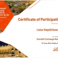 Powiększ obraz: certificate 2