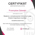 Powiększ obraz: certificate 8