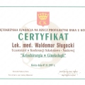 Powiększ obraz: certificate 2
