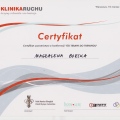 Powiększ obraz: certificate 9