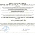 Powiększ obraz: certificate 1