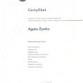 Powiększ obraz: certificate 6