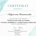 Powiększ obraz: certificate 10