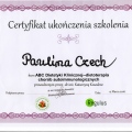 Powiększ obraz: certificate 11