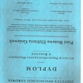 Powiększ obraz: certificate 2
