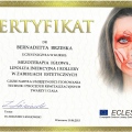 Powiększ obraz: certificate 6