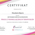 Powiększ obraz: certificate 5