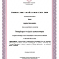 Powiększ obraz: certificate 1