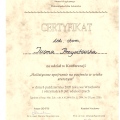 Powiększ obraz: certificate 1