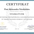 Powiększ obraz: certificate 6