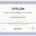 Powiększ obraz: certificate 9