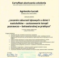 Powiększ obraz: certificate 4