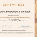 Powiększ obraz: certificate 1