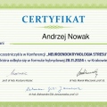 Powiększ obraz: certificate 3