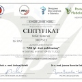 Powiększ obraz: certificate 4